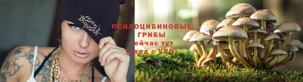 ALPHA PVP Алексеевка