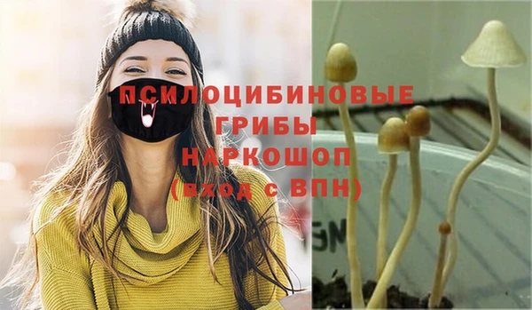 наркотики Алексин